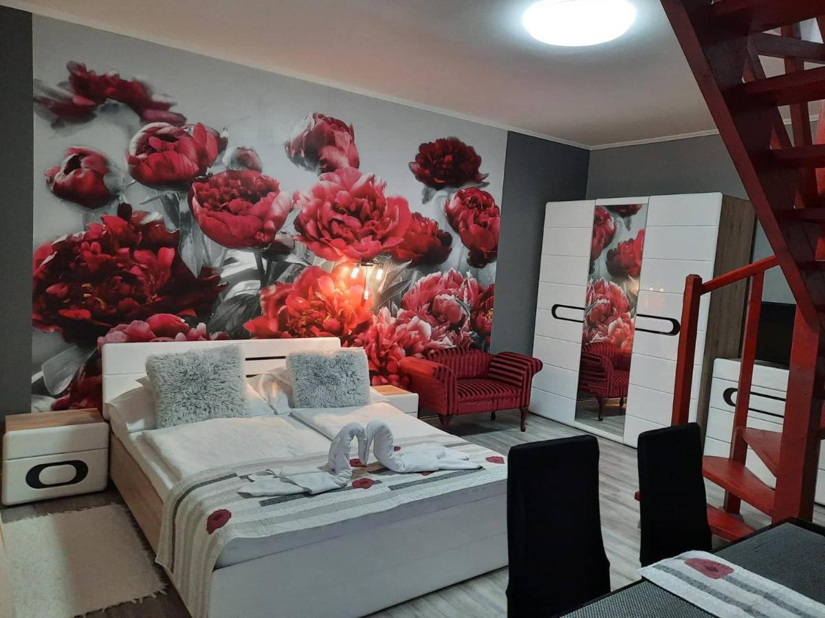 Kek Laguna Wellness Apartmanok 艾格扎洛克 外观 照片